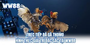 Trực Tiếp Đá Gà Thomo Hình Thức Giải Trí Đặc Sắc Tại WW88